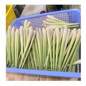 Limoncillo congelado picado y hierba de limón congelada en rodajas para cocinar en restaurantes Fábrica de hierba de limón congelada Proveedor de Vietnam - Product Image 1