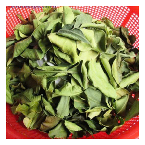 Oferta especial para distribuidores globales - Hoja de lima de Vietnam, ingrediente al por mayor muy solicitado por restaurantes y marcas de condimentos - Product Image 1