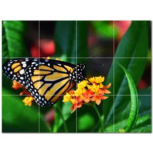 Carreaux de céramique muraux papillon PT500307 32 "W X 24" H Ensemble de 12 carreaux 8x8 - Product Image 1