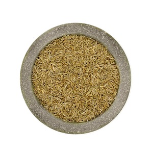 Graines de cumin naturelles fraîches emballées en vrac de qualité supérieure sélectionnées pour un maximum d'arôme et d'exportation de qualité - Product Image 4