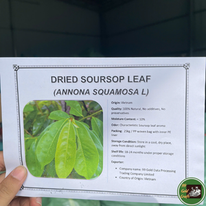 Feuilles de corossol séchées naturelles, matière première végétale pour la préparation de thé et l'utilisation alimentaire et en boissons, origine Vietnam - Product Image 3