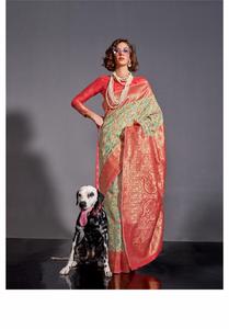 Bollywood Hermosa Cachemira tejida a mano y borde Chap con contraste pallu y blusa Sari de seda - Product Image 5