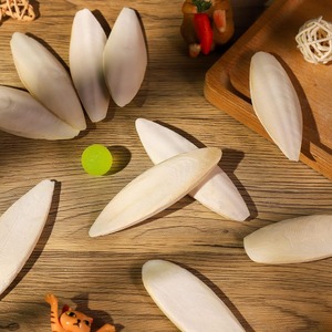 Hueso de sepia secado al sol de primera calidad, juguete para masticar pájaros de alta calidad, huesos de sepia de pescado seco para mascotas exportadas desde Vietnam - Product Image 1