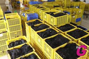 Extensions de cheveux Remy alignées sur les cuticules droites pour femmes noires pour la fabrication de perruques - Product Image 4