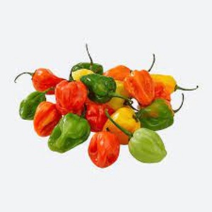 Capsicum jaune pur frais de haute qualité, naturel, Habanero, 25 kg, 2 cm, origine UE - Product Image 4