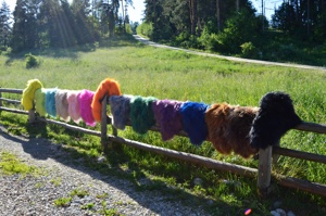 Nhuộm thảm da cừu Iceland. Da cừu len dài tuyệt vời. Da cừu da. Thảm da cừu. Thảm, trang trí nhà - Product Image 2