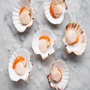เนื้อสัตว์หอยเชลล์แช่แข็งในเวียดนามอาหารทะเลสดเนื้อหอยเชลล์แช่แข็งที่ดีที่สุดขายเนื้อหอยเชลล์วันหยุดเวียดนาม - Product Image 5