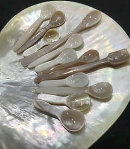Cuchara de café Madre de perla Artesanías de concha y concha marina de alta calidad para bodas y cenas - Product Image 4