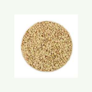High Quality Bulk Dried Whole Split Green <b>Lentils</b> - Product Image 4