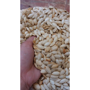 GRAINES DE CITROUILLE RÔTIES CRUNCHY & NUTTY SALTY VALEUR ABORDABLE FABRIQUÉ AU VIETNAM RECETTE FAMILIALE EMBALLAGE DE SAC - Product Image 6