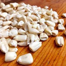 ข้าวโพดขาวที่ไม่ใช้อินทรีย์จีเอ็มโอที่มียอดขายสูงสุดและข้าวโพดขาวข้าวโพดขาวแห้งในอากาศสําหรับขาย - Product Image 3