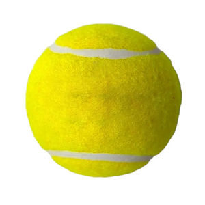 ลูกเทนนิสทุกขนาดทุกสี คุณภาพสูง ยอดนิยม ลูกเทนนิสใหม่ ระดับมืออาชีพ รับทำโลโก้แบรนด์ตามสั่ง - Product Image 1