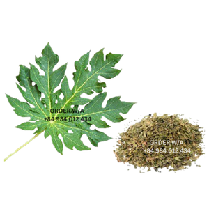 Compre hojas de papaya a precios mayoristas, precios baratos para té de hojas de papaya secas de primera calidad - Product Image 1