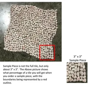 12x12 Rose Micro Pebble Douche Remodeler Carreaux De Pierre Environ 3x3 ÉCHANTILLON PIÈCE TS-18 - Product Image 1