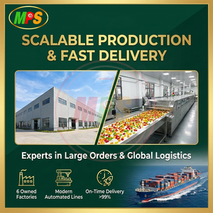 Gomitas de Producción Masiva con Gel, Fórmula Profesional y Empaque Listo para Venta al Público |   Suministro de Fábrica de Alta Capacidad - Product Image 5