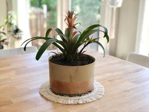 Napperon en corde de coton macramé Boho fait à la main tapis de Table à franges rondes pour décor de Table bohème sous-verre tissé pour table basse à manger - Product Image 6