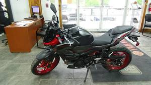 Nuevo Z500 SE ABS - 451cc Muscle, ABS Safety New Street Motorcycle listo para exportar - Product Image 2