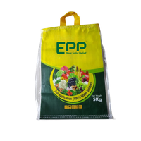 Sac à sucre personnalisé 1kg 2kg 5kg 25kg 50kg sac de stockage en polypropylène tissé Bopp farine de paddy grain riz avec poignée
