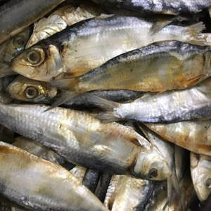 อาหารทะเลจากเวียดนามปลาเฮอริ่งตากแห้งจาก100% ธรรมชาติ - Product Image 3