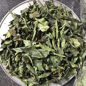 Natural Celastrus Hindsii <b>Tea</b> 4.59 oz Dried Celastrus Hindsii <b>Tea</b> Bags Dried Yellow Celastrus hindsii Leaf Vietnam - Product Image 1