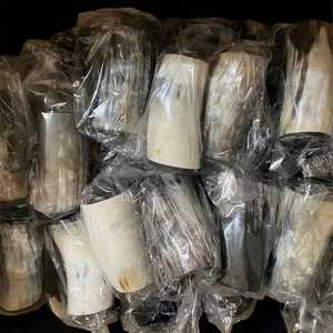 Taza de cuerno de búfalo hecha a mano natural Taza de café ecológica Diseño tradicional para regalar DE LA India - Product Image 4