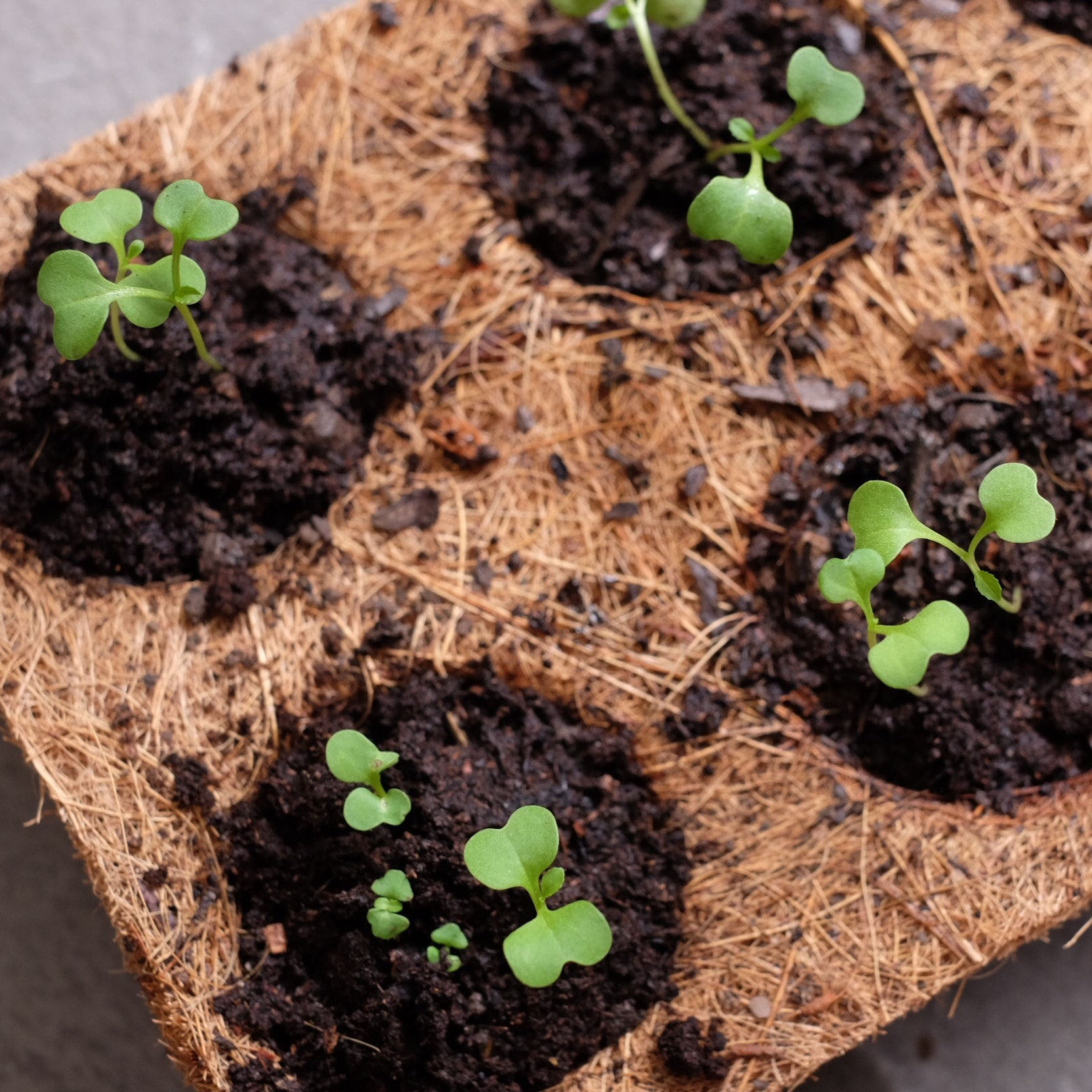 farm nursery accessories