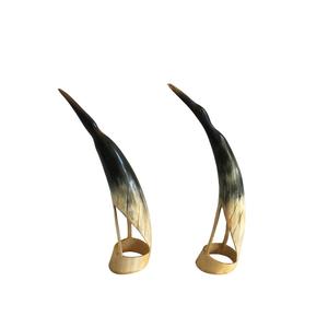 Venta caliente mejor calidad par de cuerno de vaca producto hecho a mano con precio barato tamaño grande y pequeño par de cuerno de búfalo - Product Image 4