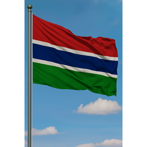 Customizable Gambia Outdoor <b>Flag</b> with Aluminum <b>Pole</b> Digital Printing Various Materials - Product Image 3