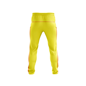 Le cricket sublimé personnalisé de haute qualité porte des uniformes avec des maillots et des pantalons/uniforme de cricket de nouveauté - Product Image 5
