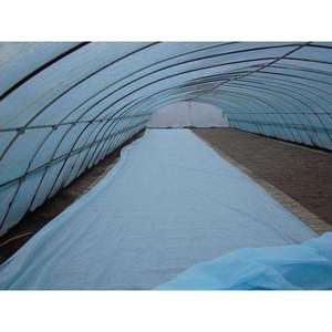 Tissu non tissé KOSITE 15-30 g/m² 43/44 pouces Spunbond 100% polypropylène pour couverture agricole et usage extérieur - Product Image 3