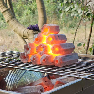 Greenlife Asia Le charbon de bois dur écologique fabriqué à la machine à partir de sciure de bois du Vietnam - Product Image 1