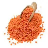 New Crops Red Lentil High Quality Organic Red Lentils in Bulk Max Gift OEM Style