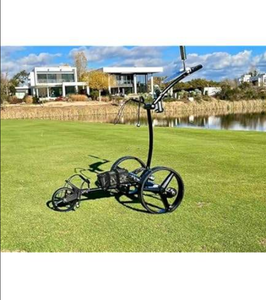 Nouvelle voiturette de golf électrique X8R en acier inoxydable, 12V 35/36Ah, batterie au lithium SLA - Product Image 1