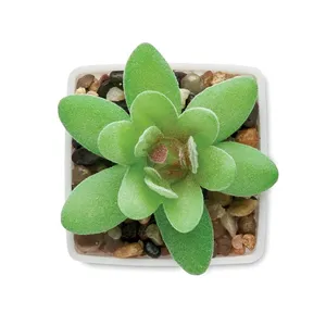 Artigrap Pianta Artificiale Personalizzata in Miniatura, Gadget Personalizzati nella Categoria Vegetazione - Product Image 3
