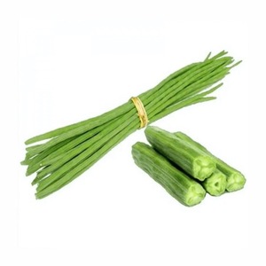 Baquetas de buena calidad al mejor precio, baquetas largas frescas al por mayor a la venta, baquetas de verduras congeladas - Product Image 4