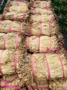 วัสดุผักตบชวาแห้งจากเวียดนาม ทนทาน ใช้งานได้ยาวนาน เหมาะสำหรับการผลิตของตกแต่งบ้านแบบเป็นมิตรต่อสิ่งแวดล้อมและสิ่งทอ - Product Image 2