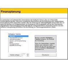 Pacchetto di Download Pianificazione Finanziaria - Product Image 2