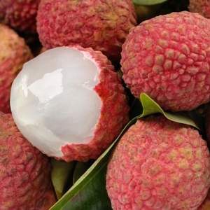 Les meilleurs FRUITS TROPICAUX du VIETNAM - LYCHEE vous aide à refroidir de l'ÉTÉ CHAUD-LYCHEE CONGELÉ À VENDRE - Product Image 1