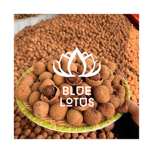 DISPONIBLE Naturel Litchi Séché Doux Snack Nutritif Vegan Meilleur Vendeur Exportation En Vrac Vietnam 2025 - Product Image 1