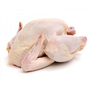 ขายส่งไก่แช่แข็ง - Product Image 6