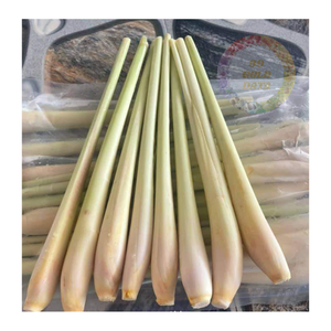 Fournisseur en gros de citronnelle congelée IQF-Meilleur prix pour les acheteurs internationaux-Fraîchement coupé et emballé pour une distribution mondiale - Product Image 6