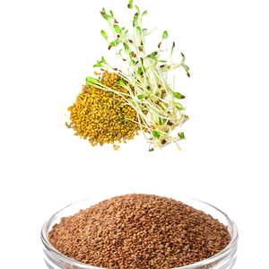 Alfalfa | Forraje de alto valor para ganado y aves de corral - Product Image 3