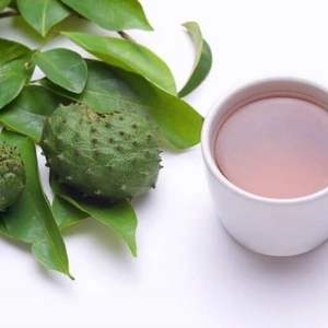 Hoja de Guanábana seca a buen precio, venta al por mayor, hojas secas de Vietnam - Product Image 2