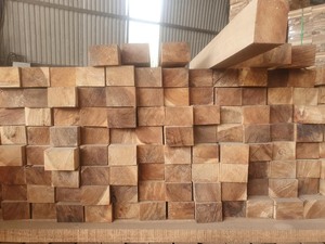 Bois scié de pin, d'acacia et d'eucalyptus - Product Image 4