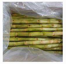 BÂTONS DE CANNE À SUCRE NATURELS CONGELÉS ÉTIQUETTE PROPRE SUPPORT IMMUNITAIRE À BASE DE PLANTES - Product Image 4