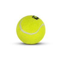 Balles de paddle-tennis personnalisées avec logo, accessoire sportif haut de gamme pour usage professionnel, divertissement, jeu de tennis