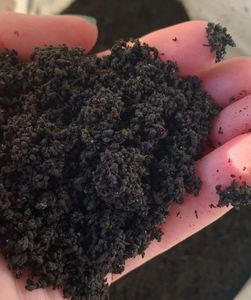 Fundición de lombrices de tierra Control de lombrices de tierra naturales para césped Campo de golf y harina de semillas de té de césped con pajita - Product Image 3