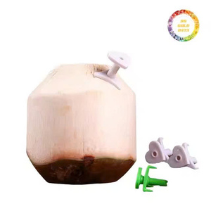 Natural dulce fresco joven Coco Vietnam exportación diamante forma pulida superficie 0,7-1,2 kg para proveedor mayorista - Product Image 4