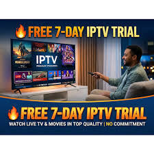 IPTV intelligent 4K pour les expatriés - Interface arabe/anglaise/espagnole/française - Product Image 5
