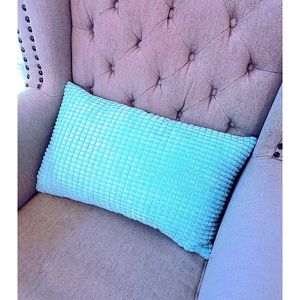 Cojín Decorativo de Mezcla de Poliéster, 18"x18" o 12"x20", Paquete de 1 con Relleno, Tacto Suave - Product Image 1